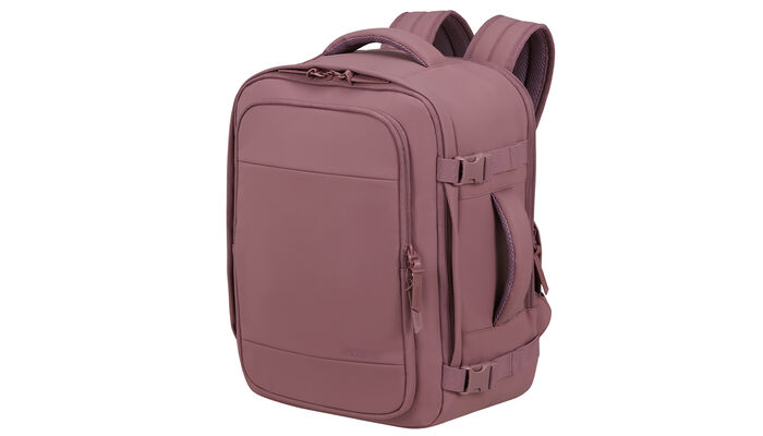 Uppfyller Ryanairs och Wizz Airs storlekskrav för gratis kabinbagage ombord