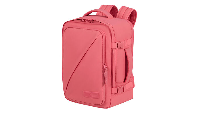 Uppfyller Ryanairs och Wizz Airs storlekskrav för gratis kabinbagage ombord