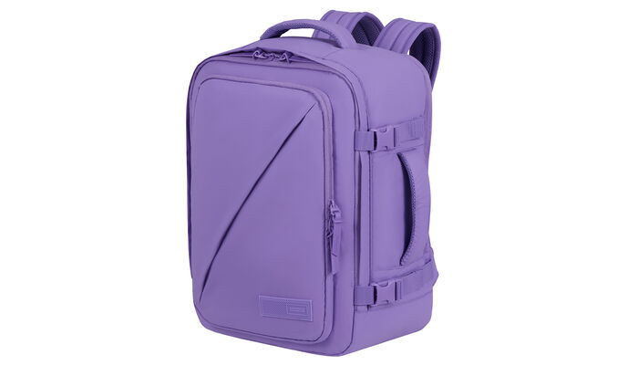 Uppfyller Ryanairs och Wizz Airs storlekskrav för gratis kabinbagage ombord